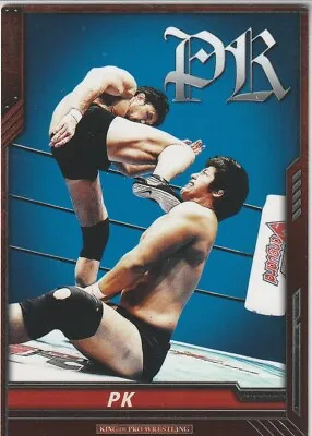 Katsuyori Shibata 2013 Bushiroad King Of Pro Wrestling #BT03-092-C • $2.99