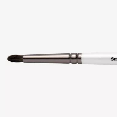 £5.76 • Buy Pro Arte : Terry Harrison Special Effects Brush : Series 65J : Soft Blender : Sm