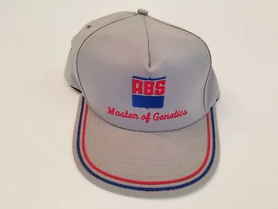 Vintage ABS Master Of Genetics Snapback Hat Cap Kap King Gray Blue Red USA Made • $29.12