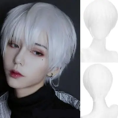 Short Straight Cosplay Wig For Men And Women Ideal For Costumes And Parties • £5.84