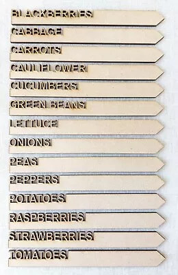 £5.99 • Buy Vegetable Seeds Plant Labels Garden Gift Markers Veg Wooden Eco Friendly Set
