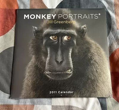 Monkey Portraits Calendar 2011 - Brand New & Sealed • $6.16