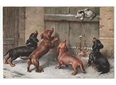 Reichert? Antique Card The Proget Wood Mansion Colonica Dogs Dachshund Dog Cat • £6.14