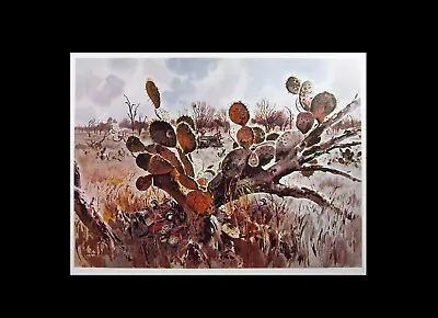 JOHN P COWAN Cuero TX Quail Naming Rattlesnake Road Texas Art Print Short Story • $78.90