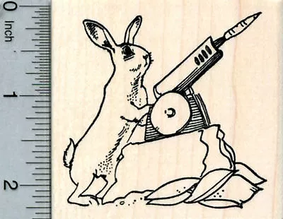 Rabbit Rubber Stamp Bunny With Carrot Launcher K31823 WM • $21