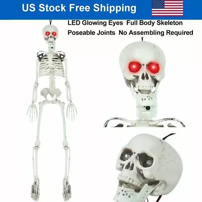 3FT Life Size Skeleton Posable Sound LED Glowing Eyes Halloween Hanging Decor US • $29.86