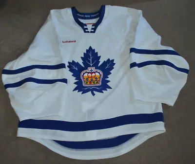 Dylan Ferguson Toronto Marlies Game Worn Used Goalie Jersey Photo Matched AHL • $349.95