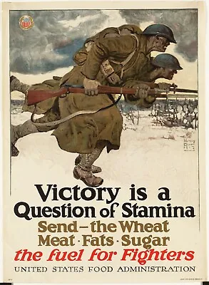 Art Images Victory Is A Question Of Stamina 1917 World War Propaganda Poster • $13.59