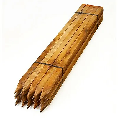 Wooden Garden Stakes Thick Square Canes Plant Tree Support Thick Fencing Pegs • £15.99