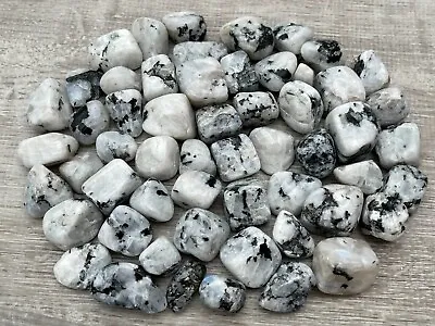 Rainbow Moonstone Tumbled Stone 0.75-1.25  Tumbled Rainbow Moonstone Bulk Lots • $119.95