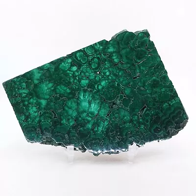 Malachite Polished Slab Specimen Display Mineral Green #R-4225 • $57