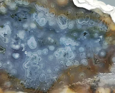 Collection ! Amazing Orbicular Ocean Jasper Agate Small Druzy Slab Reiki Stone • $3