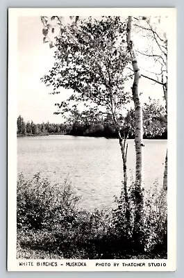 RPPC Muskoka Birch Trees Photo By Thatcher Studio Canada B&W VINTAGE Postcard • $14
