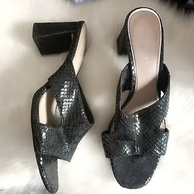 $63.20 • Buy ZARA Snake Embossed Black Block Heel Mule Slide Sandals Size 40 (9)