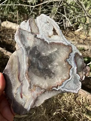 Crazy Lace Agate Slab (Mexico) • $18