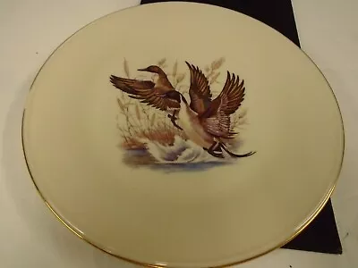 Vintage Lenox Special Ducks In Flight 10 3/4   Beige Porcelain Plate Made USA • $10.49