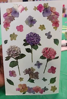 Mrs. Grossman's Giant Stickers Photo Hydrangea Stems Pink Purple Flowers 🦋 • $2.99