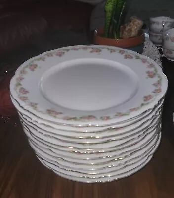 ALT27 By ALTROHLAU Pink Floral Garland Plates M Z Austria Vintage China 12 Pc • $65