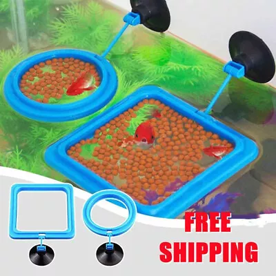 Aquarium Fish Feeder Fish Tank Food Feeding Ring Feeder Circle Tank Accessories • $7.99