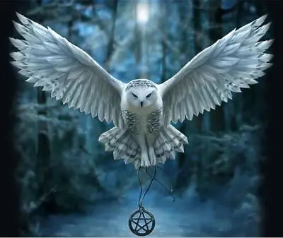 Owl Pentagram Full Drill 5D Diamond Painting Handmade Art Home Wall Decor • $17.30