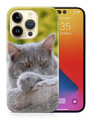 $9.95 • Buy Case Cover For Apple Iphone|cute Grey Cat Kitten Feline