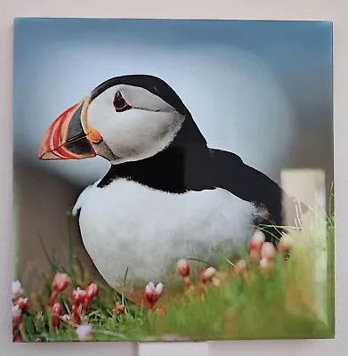 Puffin Ceramic Photo Tile Wall Art Colourful Picture Decor Picture Photo Tile   • £19.99