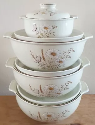 Royal Doulton Lambertware Norfolk Vegetable Tureen And Casserole Dish With Lid • £35