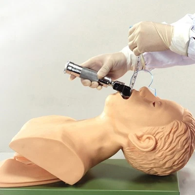 $319.12 • Buy 220V Intubation Manikin Study Teaching Model Airway Management Trainer PVC 2018