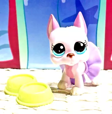 Littlest Pet Shop Lps Authentic Pink Great Dane Dog #1022 & Accessories • $32.72