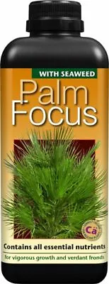 Growth Technology Palm Focus Plant Liquid Feed Food Fertiliser 1 Litre  • £10.95