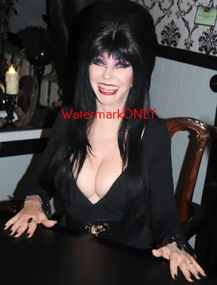 Cassandra Peterson  Elvira   Mistress Of The Dark  SEXY  Pin-Up  PHOTO! #(236) • $9.99