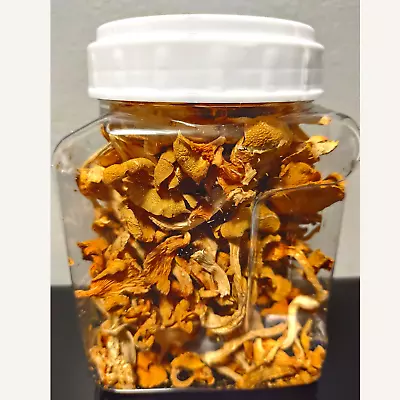 Dried Chanterelle Mushroom 2 OZ • $15.99