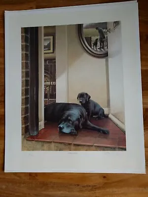 £265 • Buy Nigel Hemming Dog/ Labrador Prints. Lithograph.   As Time Goes By  Loft Find.