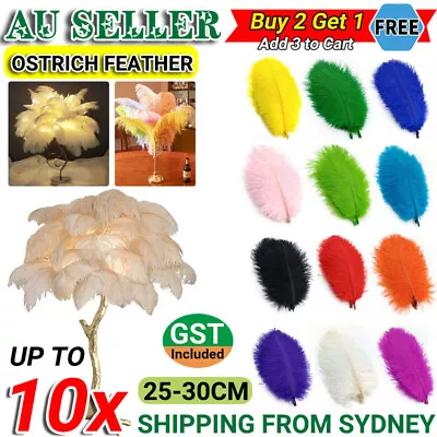 BULK Ostrich Feathers 25-30cm 12 Colours Craft Cake Wedding Party Decoration AU • $5.95