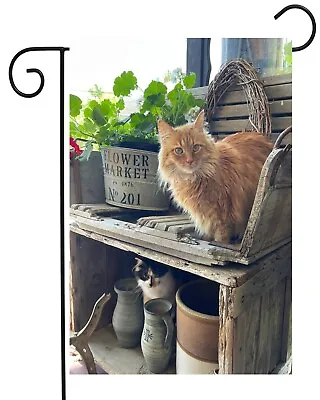 Cats On Primitive Bench    Garden Flag **  Double Sided ** Top Quality • $12.95