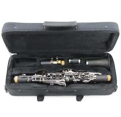 Advanced Perfect Eb Tune  Clarinet Good Material Good Sound • $129.50