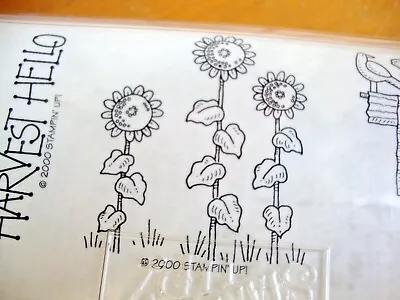 Stampin' Up HARVEST HELLO Rubber Stamp Set Pumpkin Scarecrow Sunflowers • $13