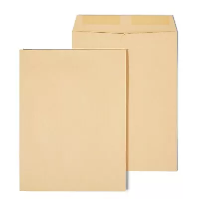 Staples Gummed Catalog Envelopes 9 L X 12 H Brown 100/Box (SPL194969) ST50190-CC • $16.76