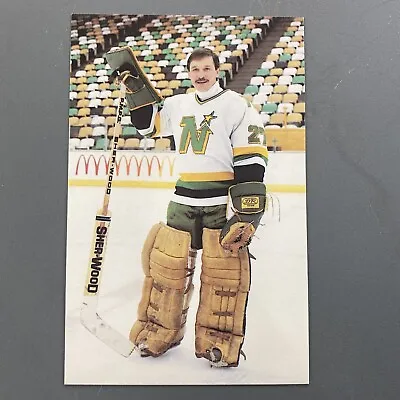 GILLES MELOCHE Original 1980s Vintage Minnesota North Stars NHL Hockey Postcard • $14.46