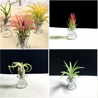 10x Metal Air Plant Stand Container Holder Tabletop Plant Display Rack Vase^hf • $5.68