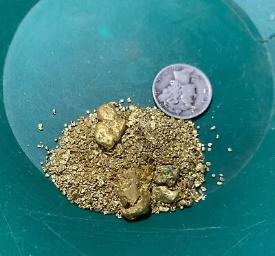 Gold Paydirt 8 Lbs Unsearched Guaranteed Gold Panning Pay Dirt Gold Nuggets Bag • $42.99