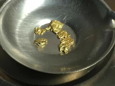 Gold Nuggets By The Quarter Gram Alaskan Natural Placer Gold Free US Shipping • $29.99