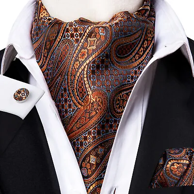 $12.06 • Buy Hi Tie Mens Silk Cravat Ascot Brown Paisley Floral Vintage Scarf Tie Hanky Set