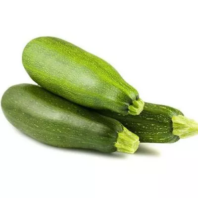 ZUCCHINI ALL GREEN BUSH SEEDS Vegetable Garden All Green Bush Zuccini Seeds • $2