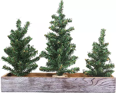 3 Pack Mini Canadian Pine Trees With Wood Bases Artificial Miniature Christmas T • $27.99