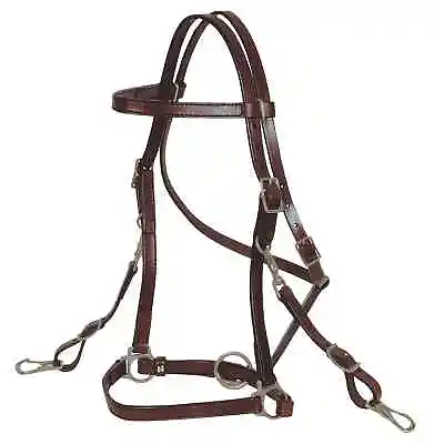 Circle Y 3/4  Trail Halter Bridle Combo Walnut  NEW • $129.95