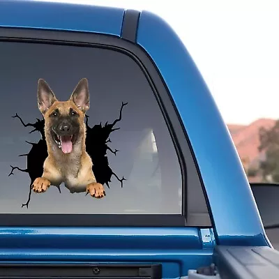 Belgian Malinoi Sticker Belgian Malinois Car Decal 3d Windows Decal Funny Faces • $16.98