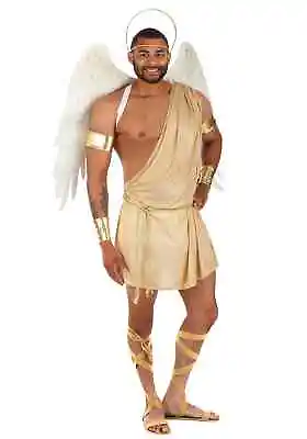 Plus Size Sexy Angel Costume For Men • $51.98