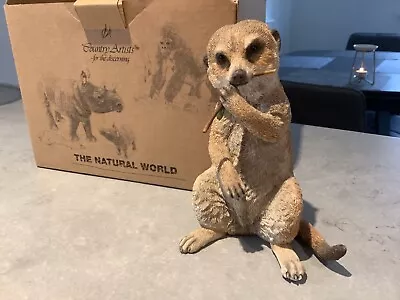 £9.99 • Buy Country Artists Meerkat By Keith Sherwin.