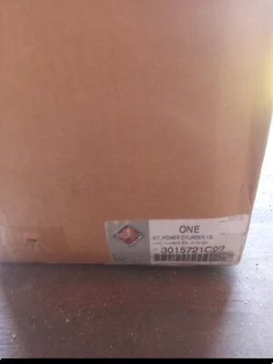 $400 • Buy 3015721C92Power Cylinder Kit Maxxforce 13 Engine | 3015721C92 OE